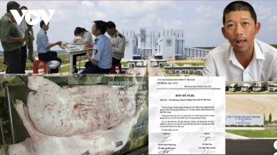 Vụ việc ông L.Q.N bị triệu tập sau khi tố cáo C.P. Việt Nam: Góc nhìn pháp lý từ Viện ILPAI